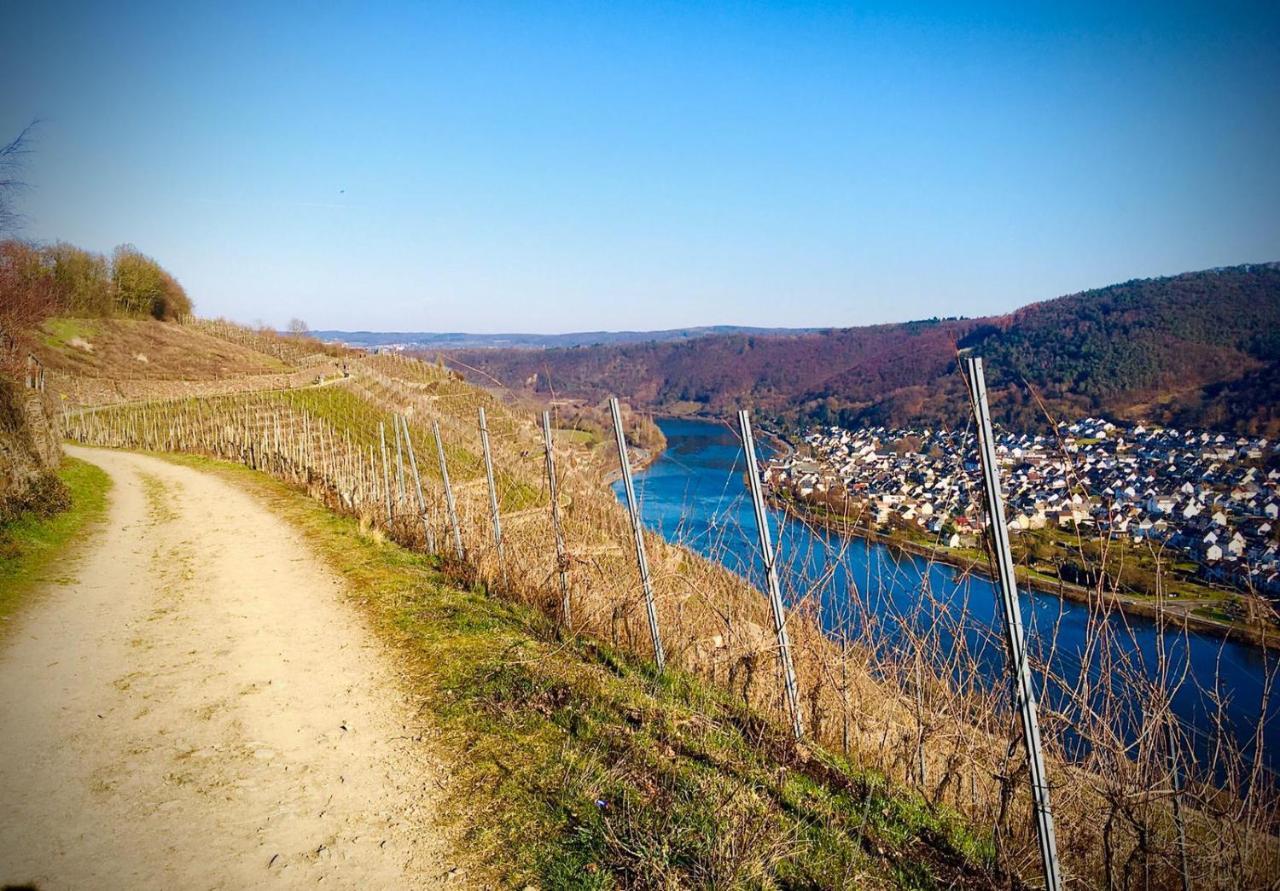 Auszeit Rhein-Mosel Διαμέρισμα Waldesch Εξωτερικό φωτογραφία