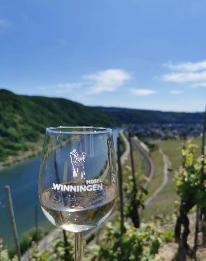 Auszeit Rhein-Mosel Διαμέρισμα Waldesch Εξωτερικό φωτογραφία