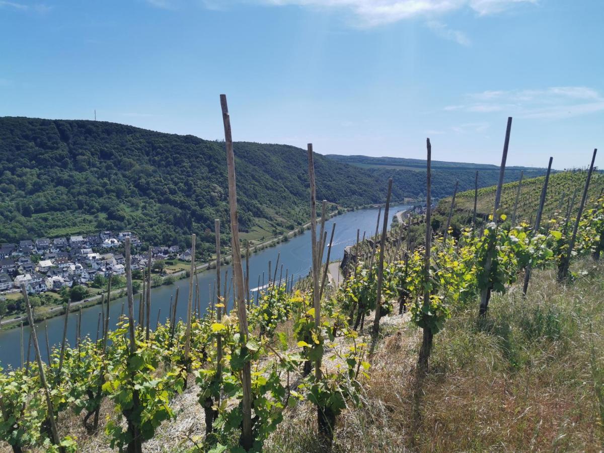 Auszeit Rhein-Mosel Διαμέρισμα Waldesch Εξωτερικό φωτογραφία