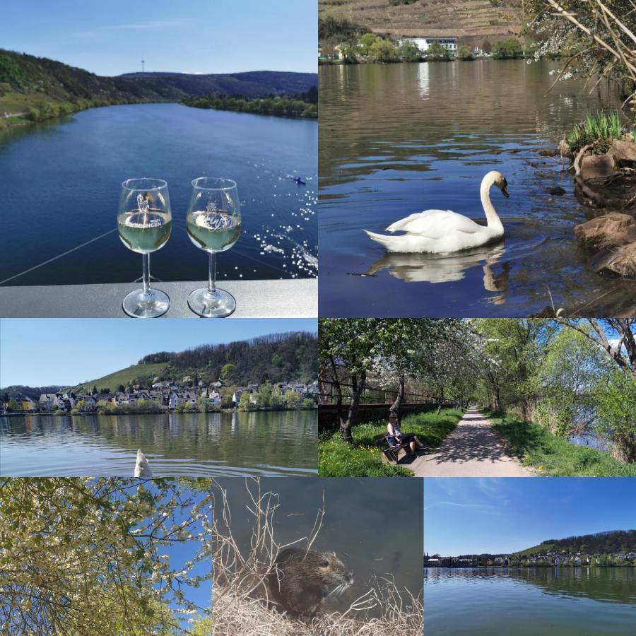 Auszeit Rhein-Mosel Διαμέρισμα Waldesch Εξωτερικό φωτογραφία