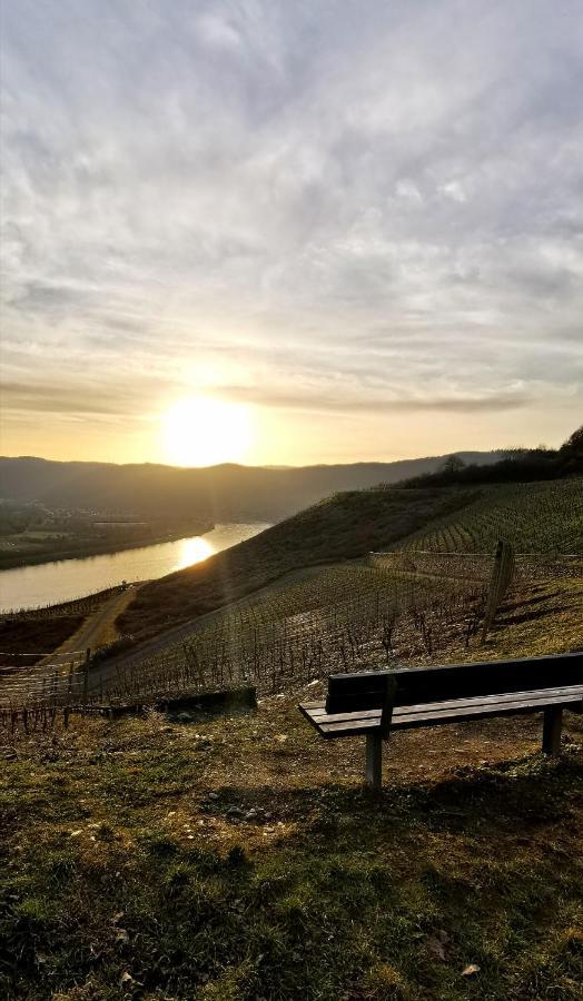 Auszeit Rhein-Mosel Διαμέρισμα Waldesch Εξωτερικό φωτογραφία